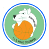 torino teen basket